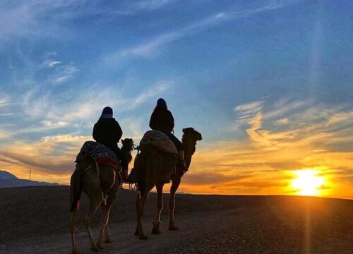Sunset Camel Ride Tour In Agafay